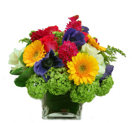 Sweet Thoughts from Metropolitan Plant & Flower Exchange, local NJ florist