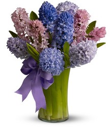 Fragrant Hyacinth from Metropolitan Plant & Flower Exchange, local NJ florist